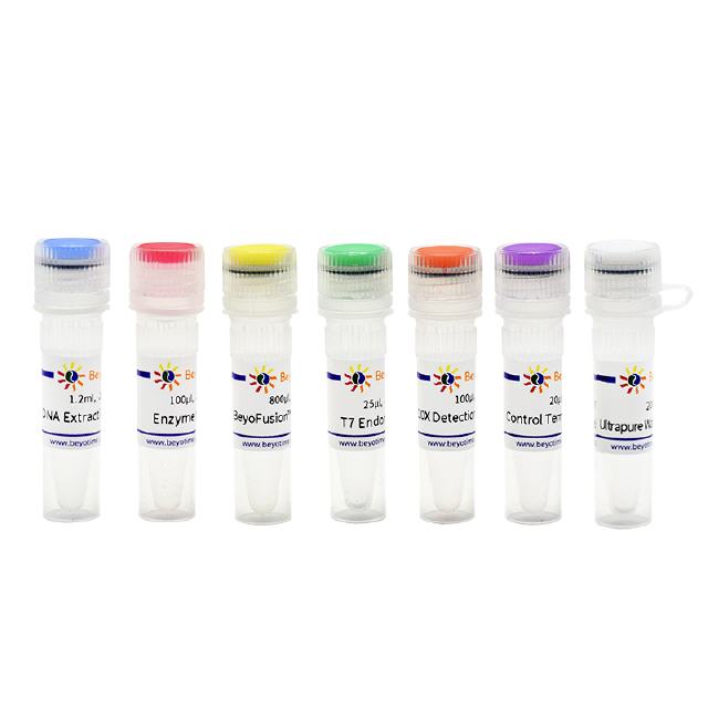 T7E1 enzyme cleaves heteroduplex DNA only.