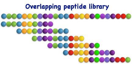 Design of your overlapping peptide library ..